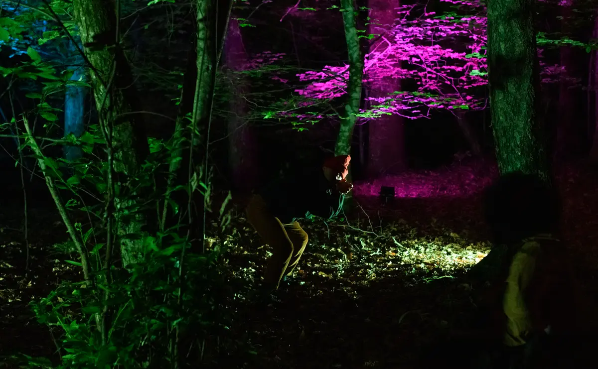 Atelier Chorégraphique En Forêt