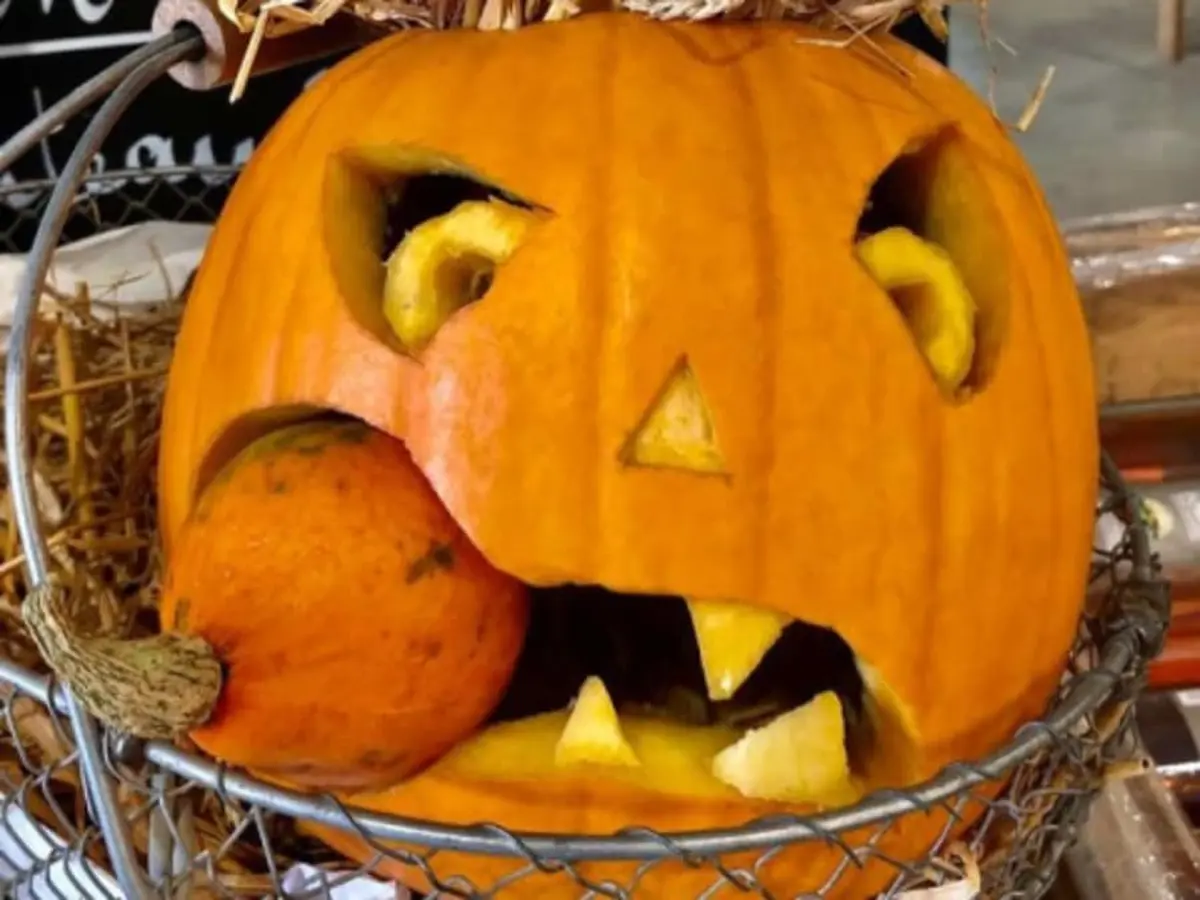 Atelier citrouille à la Cueillette de la Croix Verte (95)