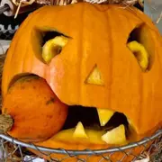 Atelier citrouille à la Cueillette de la Croix Verte (95)