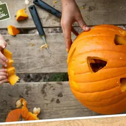 Top 5 des idées sorties pour ce week-end de la Toussaint à La Roche-sur-Yon (du 30 octobre au 1er novembre 2026)