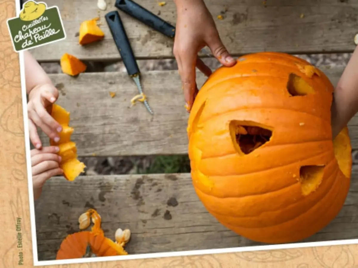 Atelier citrouille à la cueillette de Mareuil sur Lay (85)