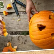 Atelier citrouille à la cueillette de Mareuil sur Lay (85)