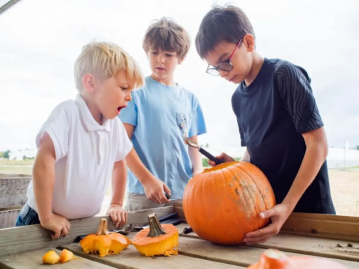 Atelier citrouille à la cueillette de Saint Florent (85)
