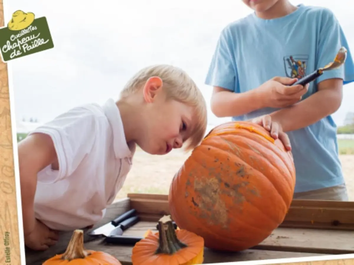Atelier citrouille à la cueillette de Saint-Hilaire-des-Loges