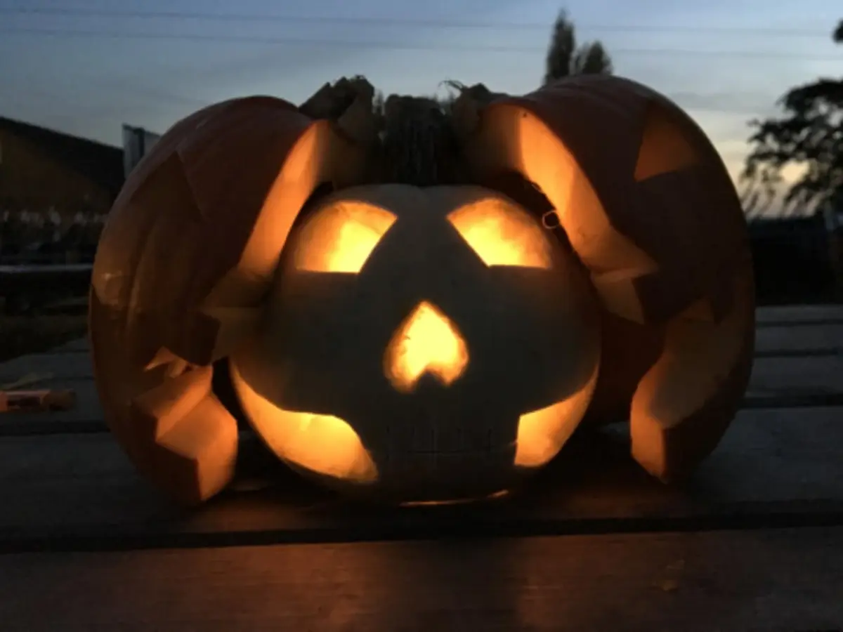 Atelier citrouille d'Halloween &agrave; la cueillette de Cergy (95)