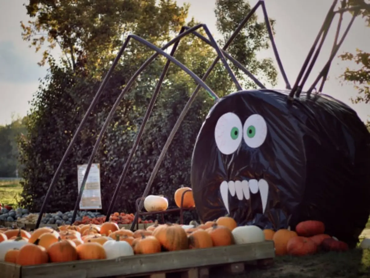 Atelier citrouille d'Halloween &agrave; la cueillette de Muizon (51)