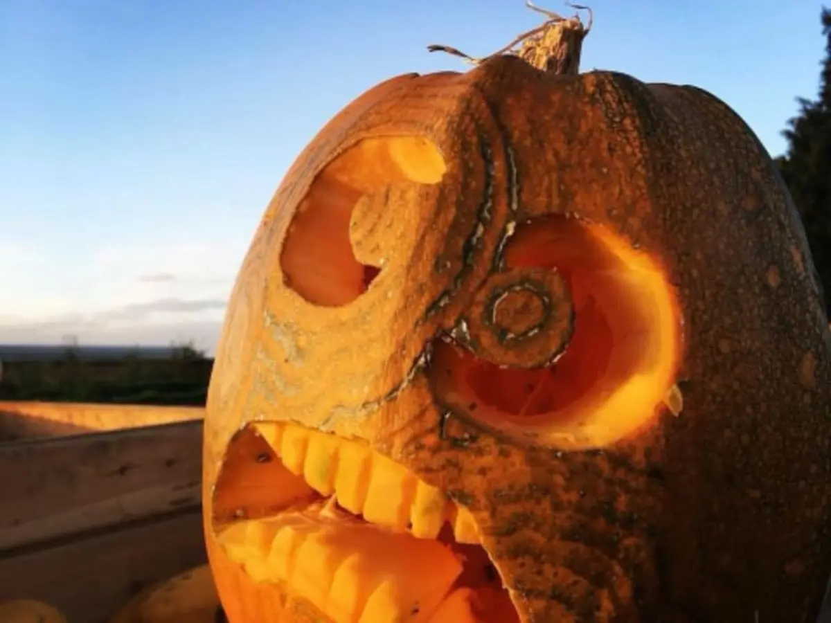 Atelier citrouille d'Halloween &agrave; la Cueillette de Seclin (59)