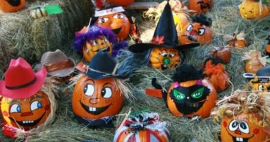 Atelier citrouille d'Halloween &agrave; la cueillette de Troyes