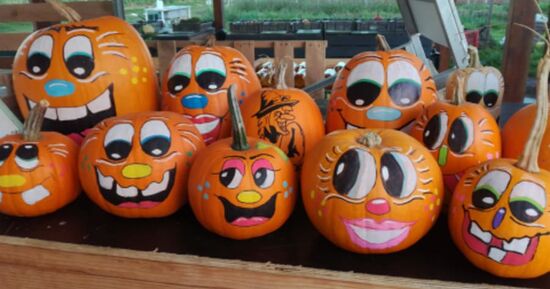 O&ugrave; aller &agrave; Arras ce week-end du 6 au 8 mars 2026 ? 4 id&eacute;es sorties