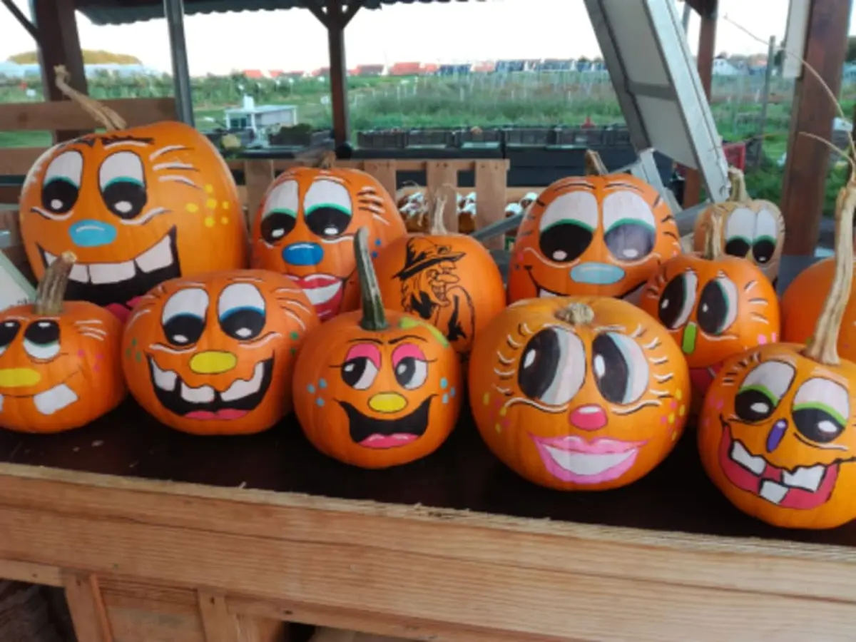Atelier citrouille d'Halloween à la Cueillette de Beaurains (62)