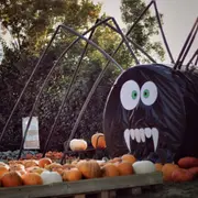 Atelier citrouille d'Halloween à la cueillette de Muizon (51)