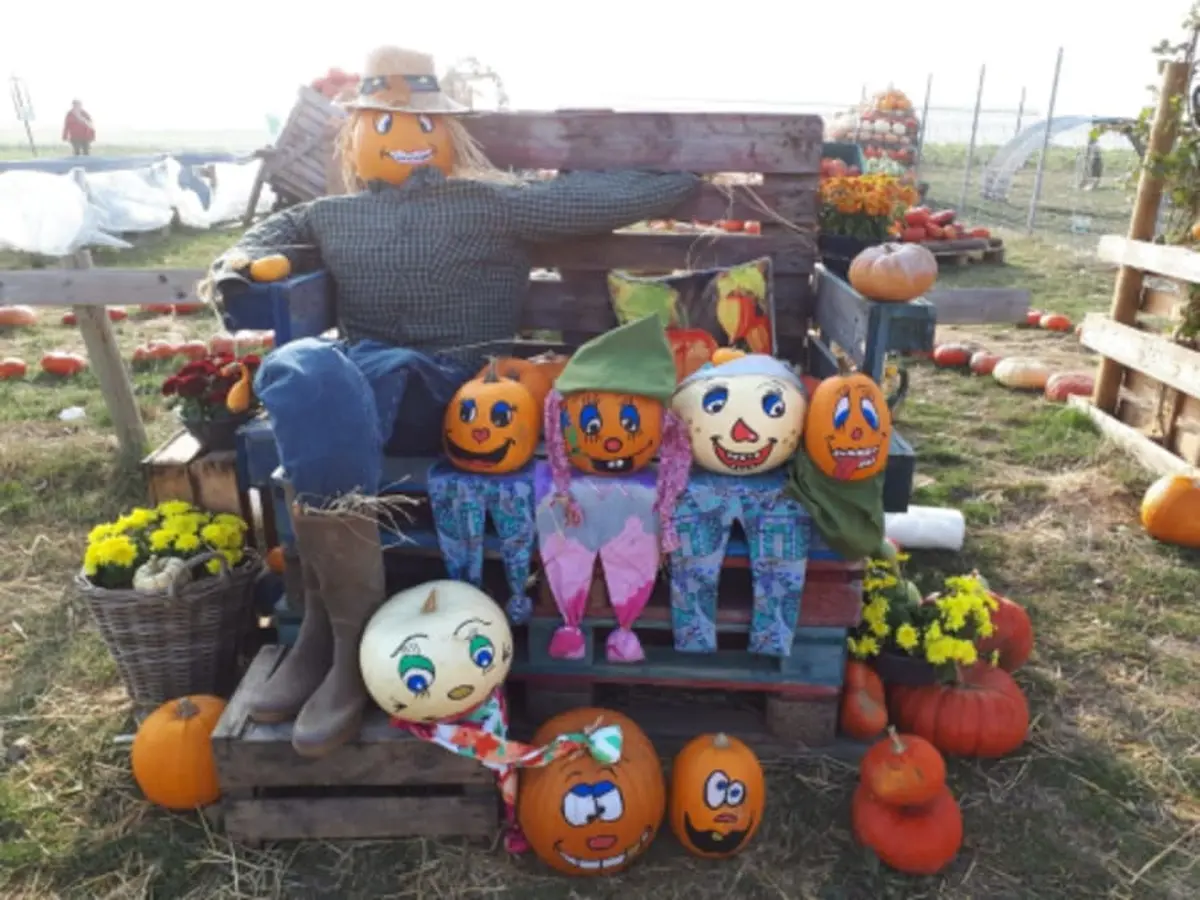 Atelier citrouille d'Halloween à la cueillette de Peltre (57)