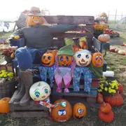 Atelier citrouille d'Halloween à la cueillette de Peltre (57)