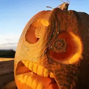 Atelier citrouille d'Halloween à la Cueillette de Seclin (59)