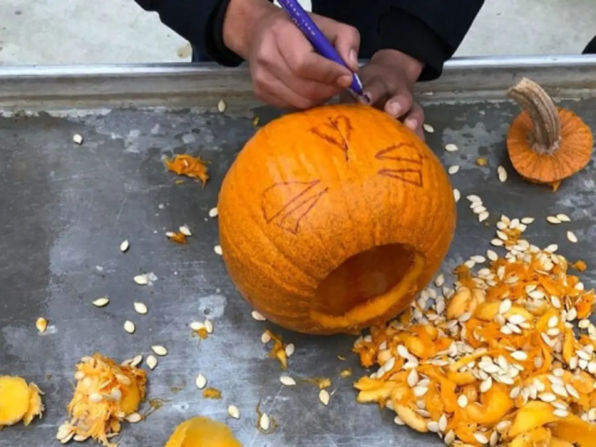 Atelier citrouille d'Halloween à la Cueillette de Compans (77)