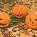 Atelier citrouille d'Halloween chez Truffaut Althen-des-Paluds