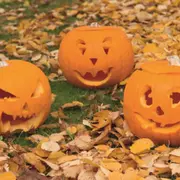 Atelier citrouille d'Halloween chez Truffaut Althen-des-Paluds