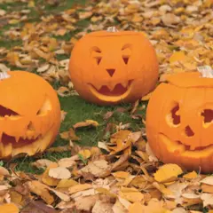 Atelier citrouille d'Halloween chez Truffaut Orléans (45)