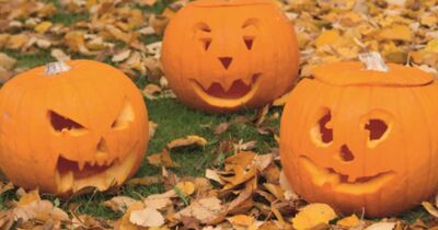 Atelier citrouille d'Halloween chez Truffaut Orl&eacute;ans (45)