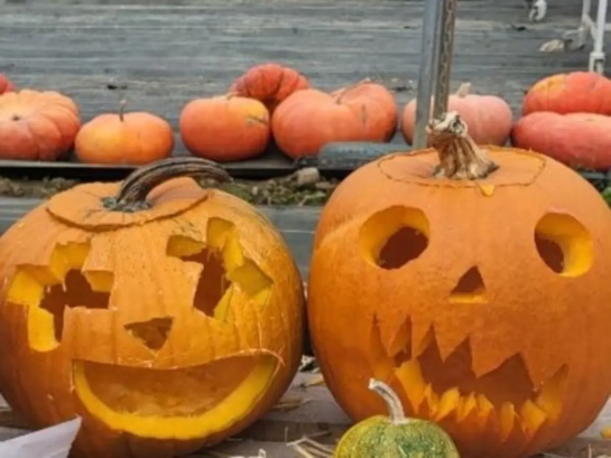 Atelier citrouille Halloween à la cueillette de la Grange (77)