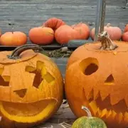 Atelier citrouille Halloween à la cueillette de la Grange (77)