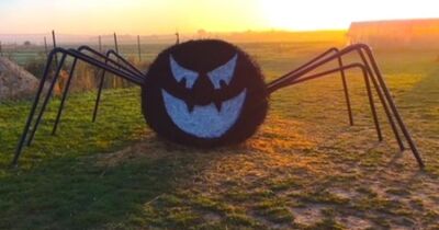 Atelier citrouille Halloween &agrave; la Cueillette de Torfou (91)