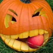 Atelier citrouilles sculptées  à la Cueillette de Servigny (77)