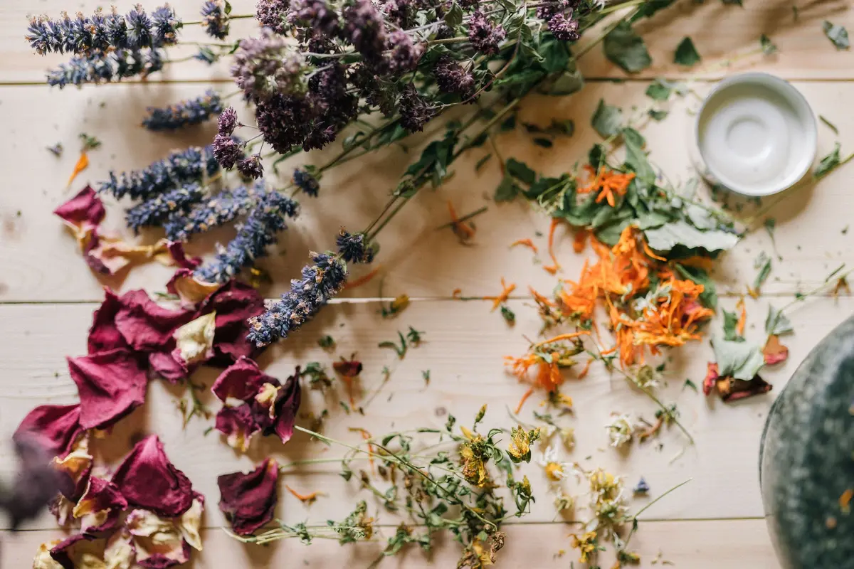 Atelier Compose ta tisane