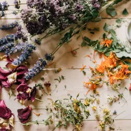 Atelier Compose ta tisane