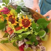 Atelier composition d'un bouquet de fleurs fraîches à Strasbourg
