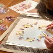 Atelier composition d'un herbier à Bondues (59)