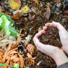 Atelier : Composter chez soi, un jeu d’enfant