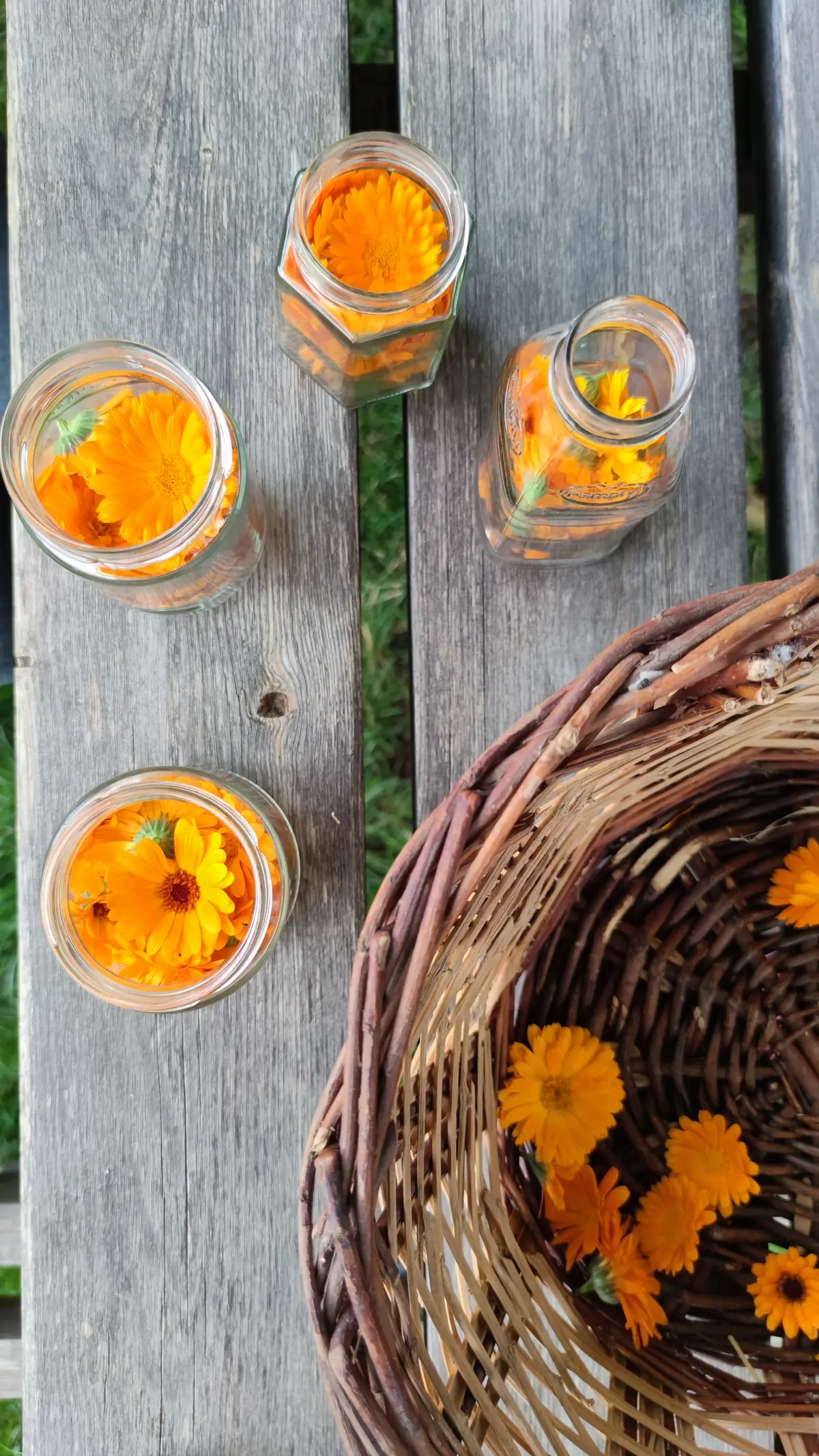 Atelier Confection D'Huiles Avec Des Végétaux Du Jardin
