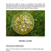 Atelier confection de baumes aux plantes