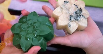 Atelier cosm&eacute;tiques DIY &agrave; Troyes (10)