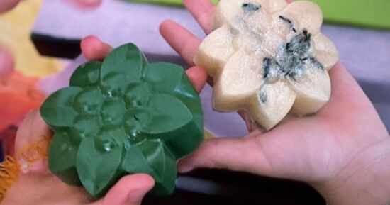 6 id&eacute;es sorties pour ce week-end &agrave; Troyes du 27 f&eacute;vrier au 1 mars 2026