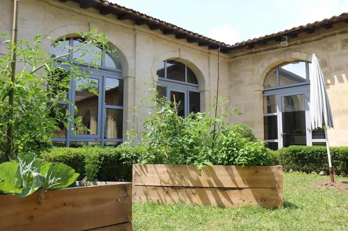 Atelier couleur végétale à la médiathèque de St André