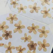 Atelier créatif avec fleurs séchées