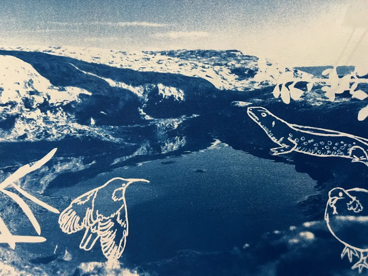 Atelier créatif : Découverte Nature et Cyanotype