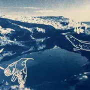 Atelier créatif : Découverte Nature et Cyanotype