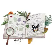 Atelier créatif Dessinez votre carte postale avec Alice Fauconnier