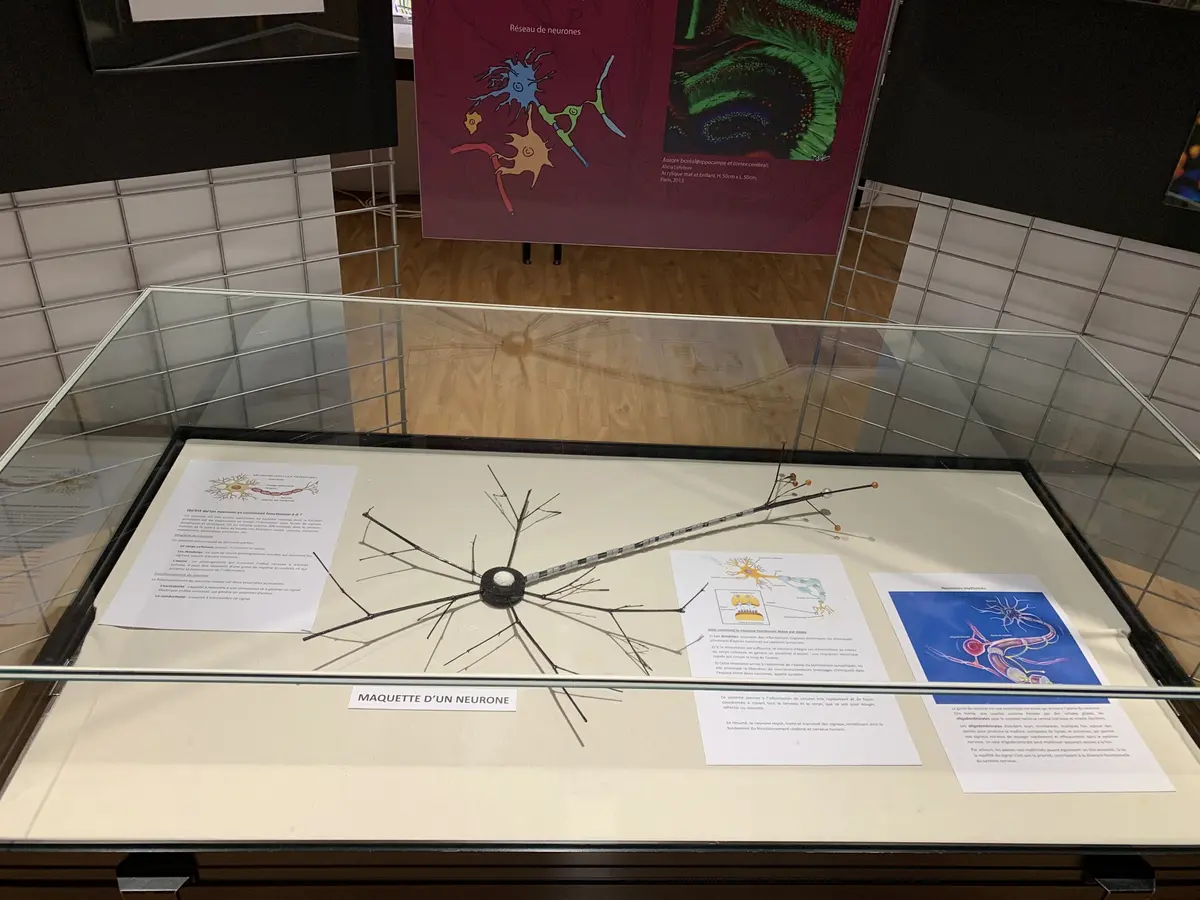 Atelier créatif enfants  - Les neurones