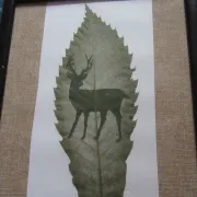 Atelier créatif : Folio sculpture : dentelle de feuilles