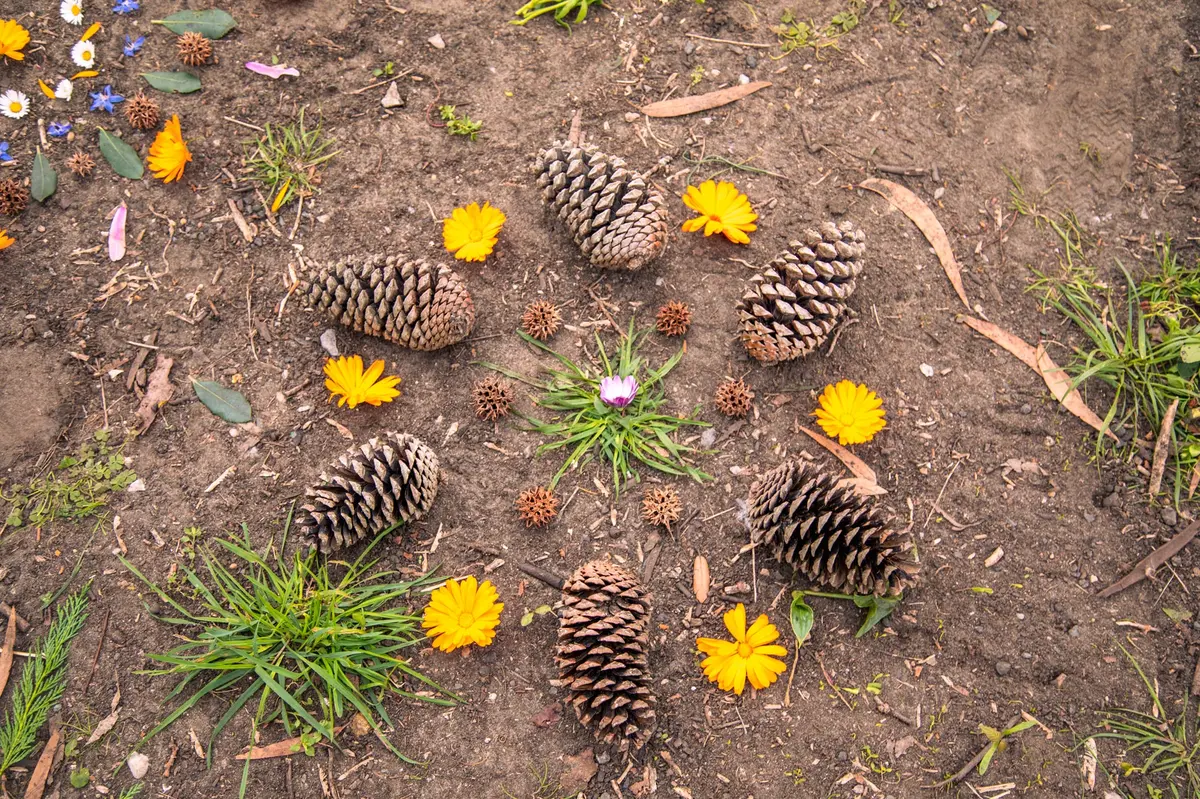 Atelier créatif land’art