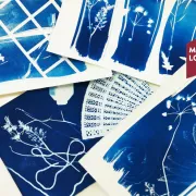 Atelier : Création Cyanotype