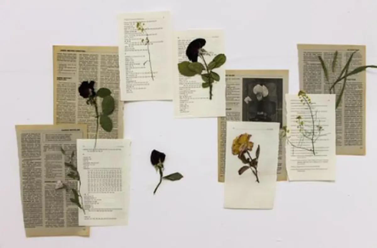 Atelier Création D'Herbier