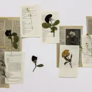 Atelier Création D'Herbier