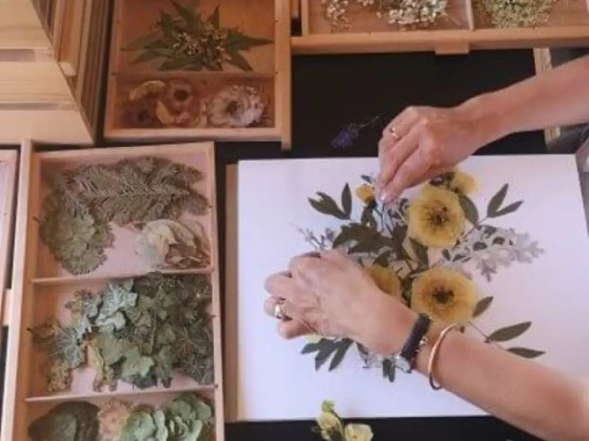 Atelier création d'herbier parent/enfant à Saint-Aubin-de-Médoc