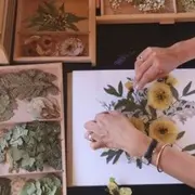 Atelier création d'herbier parent/enfant à Saint-Aubin-de-Médoc