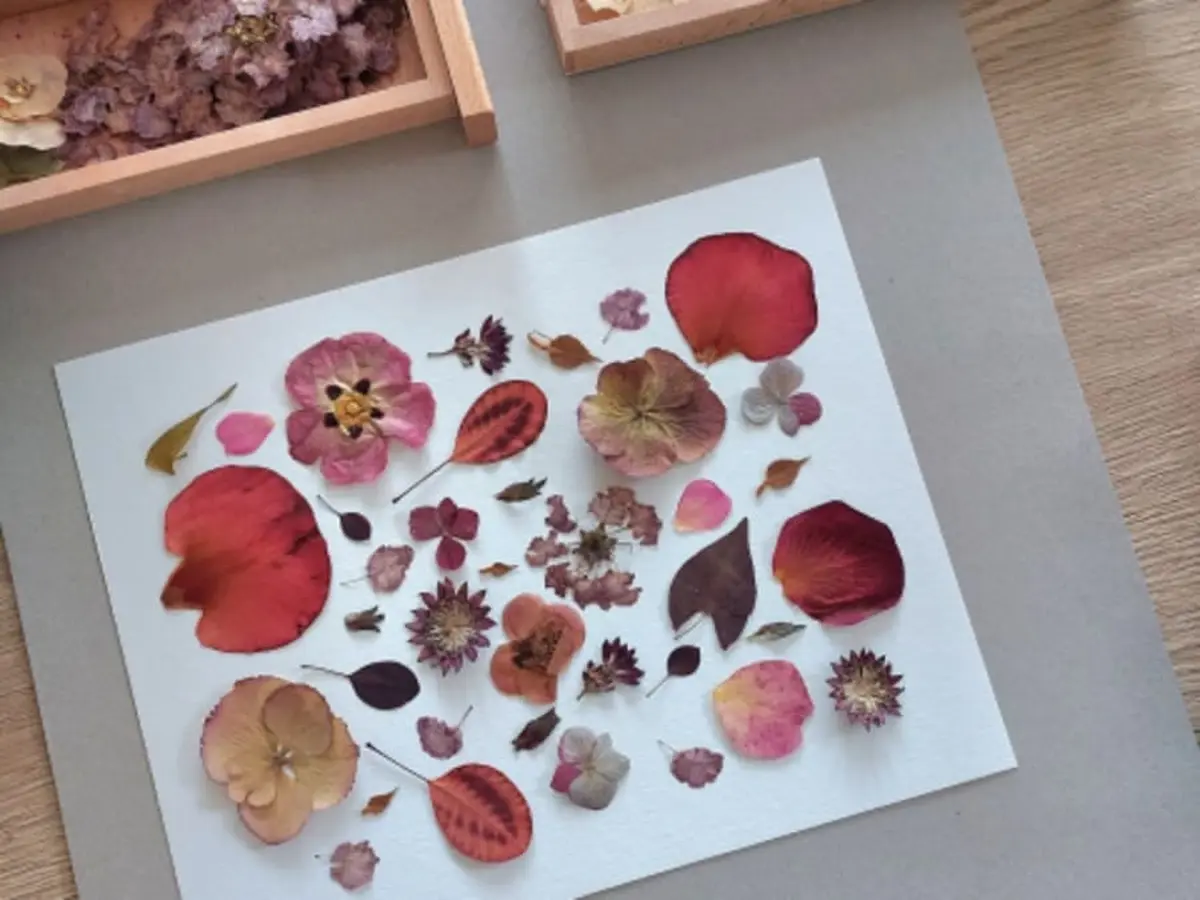 Atelier création d'herbiers à Saint-Aubin-de-Médoc (33)